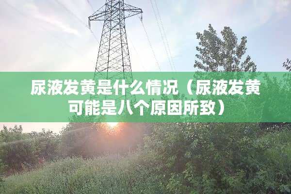 尿液发黄是什么情况（尿液发黄可能是八个原因所致）