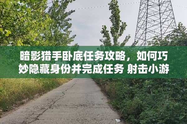暗影猎手**任务攻略，如何巧妙隐藏身份并完成任务 射击小游戏**攻略