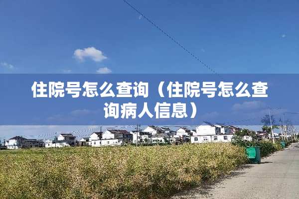 住院号怎么查询（住院号怎么查询病人信息）