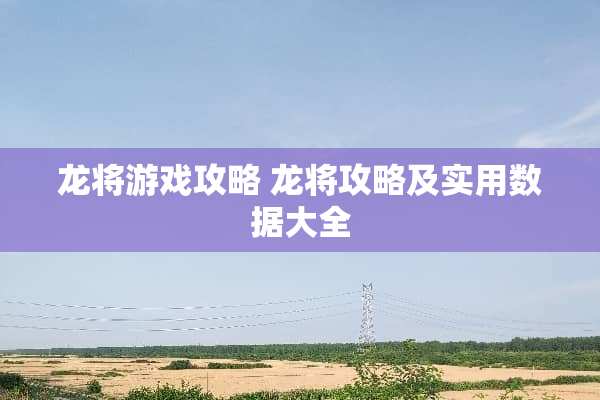 龙将游戏攻略 龙将攻略及实用数据大全