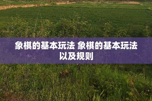 象棋的基本玩法 象棋的基本玩法以及规则