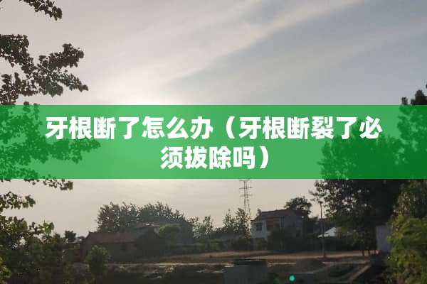 牙根断了怎么办（牙根断裂了必须拔除吗）