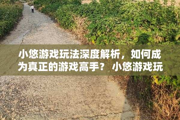 小悠游戏玩法深度解析，如何成为真正的游戏高手？ 小悠游戏玩法
