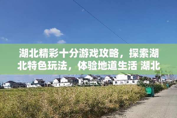 湖北精彩十分游戏攻略，探索湖北特色玩法，体验地道生活 湖北精彩十分玩法介绍