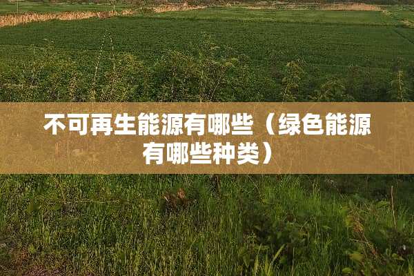 不可再生能源有哪些（绿色能源有哪些种类）