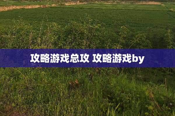 攻略游戏总攻 攻略游戏by
