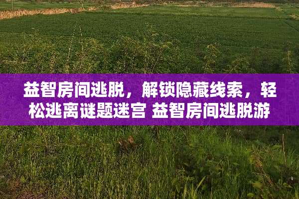 益智房间逃脱，解锁隐藏线索，轻松逃离谜题迷宫 益智房间逃脱游戏攻略