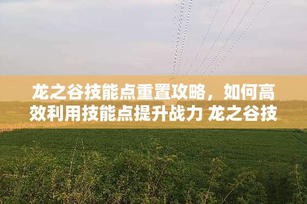 龙之谷技能点重置攻略，如何高效利用技能点提升战力 龙之谷技能点重置