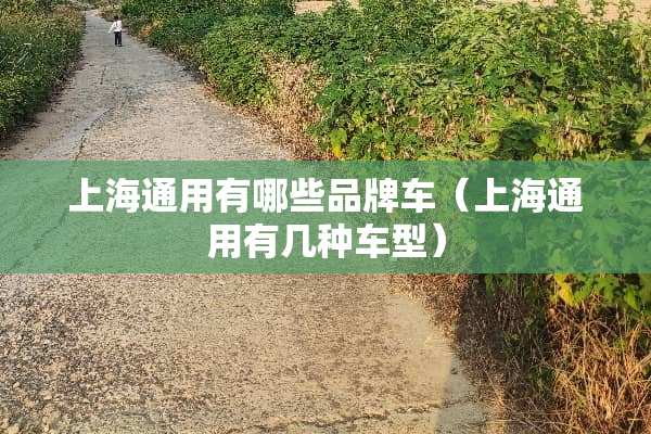上海通用有哪些品牌车（上海通用有几种车型）