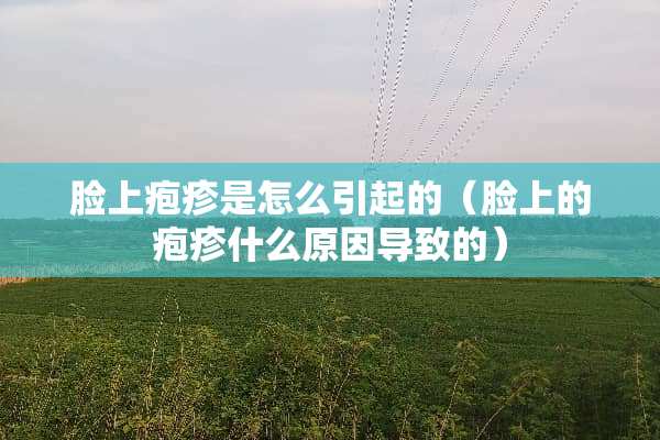 脸上疱疹是怎么引起的（脸上的疱疹什么原因导致的）