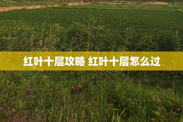 红叶十层攻略 红叶十层怎么过