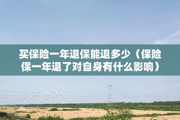 买保险一年退保能退多少（保险保一年退了对自身有什么影响）