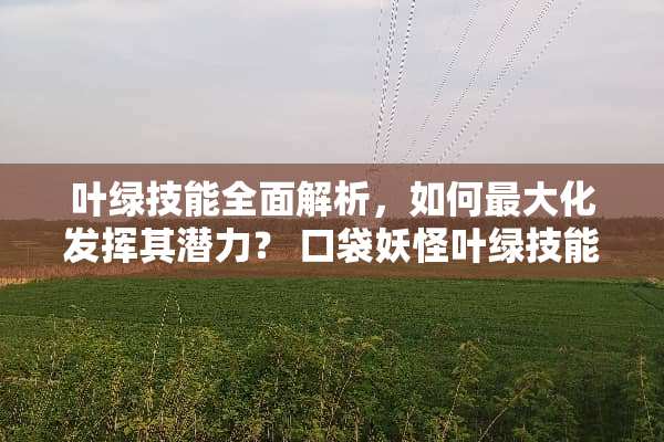 叶绿技能全面解析，如何最大化发挥其潜力？ 口袋妖怪叶绿技能