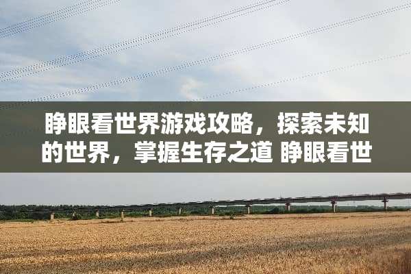睁眼看世界游戏攻略，探索未知的世界，掌握生存之道 睁眼看世界游戏攻略