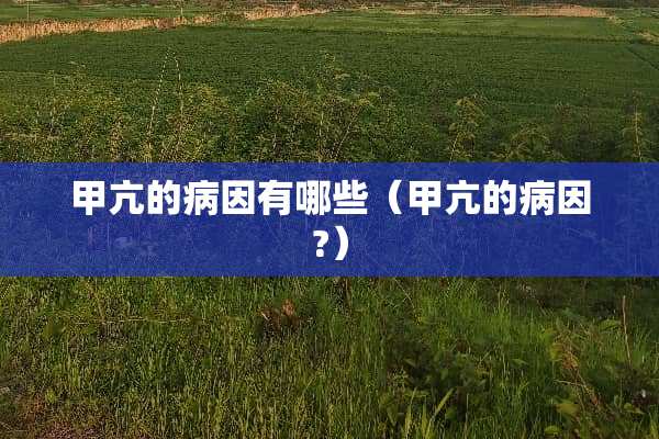 甲亢的病因有哪些（甲亢的病因?）