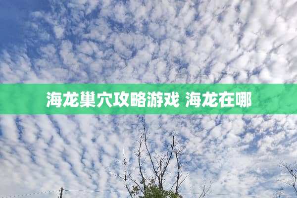 海龙巢*攻略游戏 海龙在哪