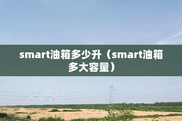 smart油箱多少升（smart油箱多大容量）