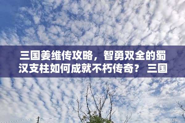 三国姜维传攻略，智勇双全的蜀汉支柱如何成就不朽传奇？ 三国姜维传攻略