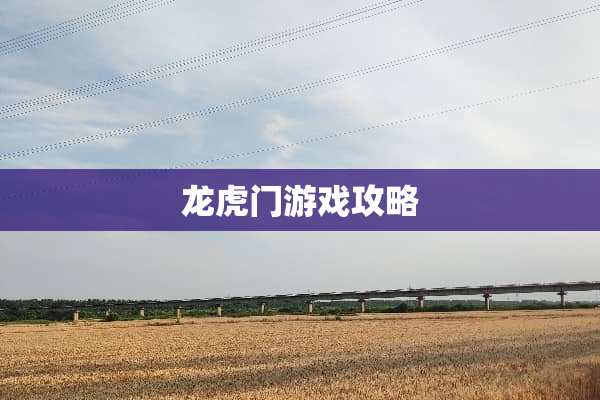 龙虎门游戏攻略