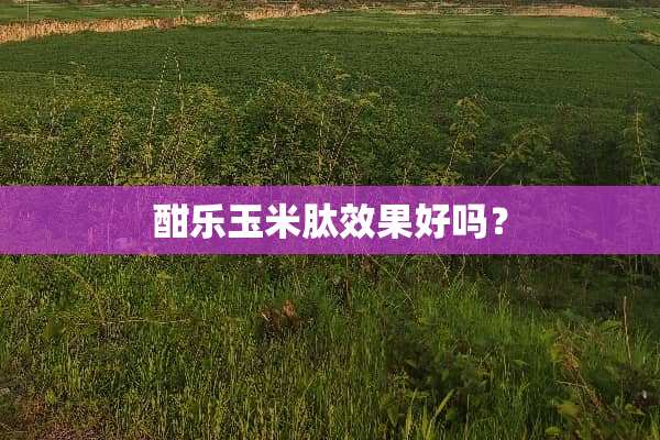 酣乐玉米肽效果好吗？