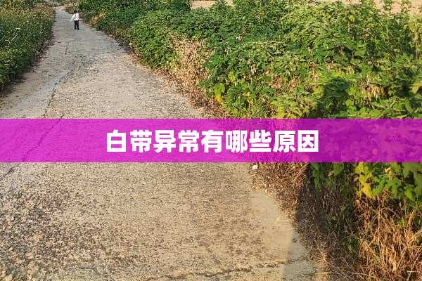 白带异常有哪些原因