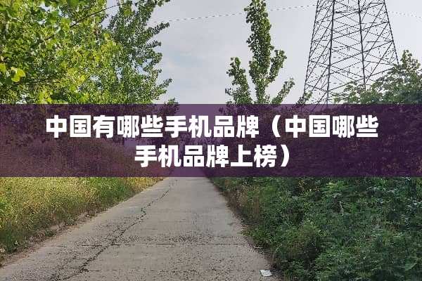 中国有哪些手机品牌（中国哪些手机品牌上榜）