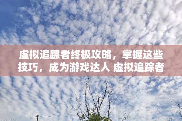 虚拟追踪者终极攻略，掌握这些技巧，成为游戏达人 虚拟追踪者攻略