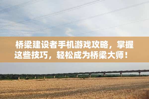桥梁建设者手机游戏攻略，掌握这些技巧，轻松成为桥梁大师！ 手机游戏桥梁攻略