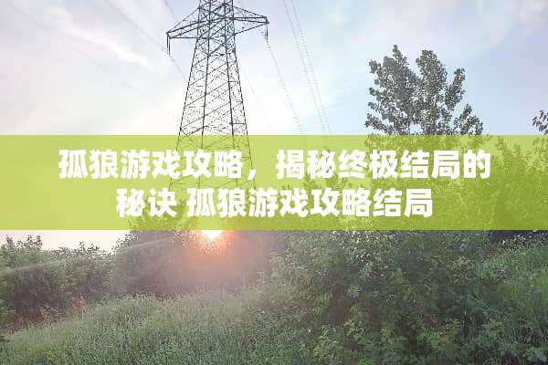 孤狼游戏攻略，揭秘终极结局的秘诀 孤狼游戏攻略结局