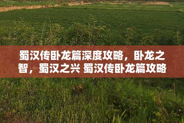 蜀汉传卧龙篇深度攻略，卧龙之智，蜀汉之兴 蜀汉传卧龙篇攻略