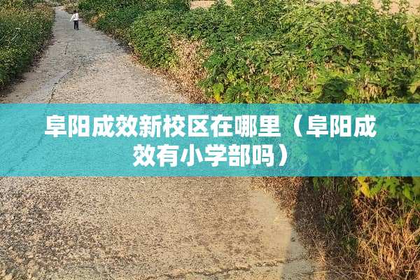 阜阳成效新校区在哪里（阜阳成效有小学部吗）