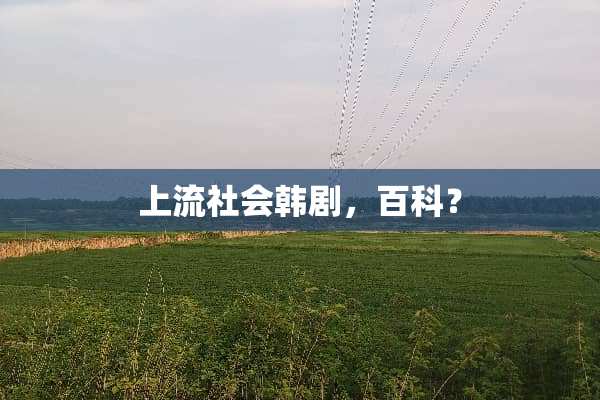 上流社会韩剧，百科？