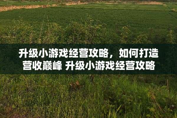 升级小游戏经营攻略，如何打造营收巅峰 升级小游戏经营攻略
