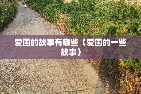 爱国的故事有哪些（爱国的一些故事）