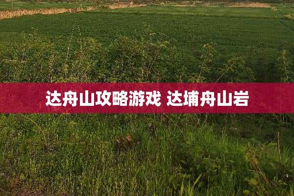 达舟山攻略游戏 达埔舟山岩