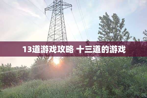 13道游戏攻略 十三道的游戏
