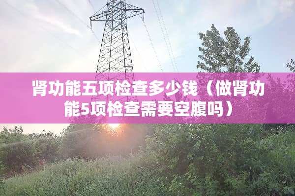 肾功能五项检查多少钱（做肾功能5项检查需要空腹吗）