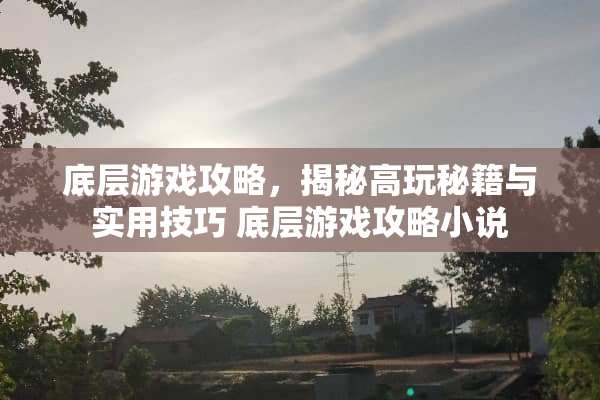 底层游戏攻略，揭秘高玩秘籍与实用技巧 底层游戏攻略小说