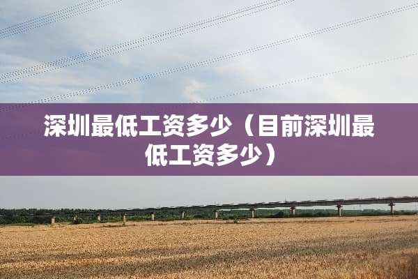 深圳最低工资多少（目前深圳最低工资多少）