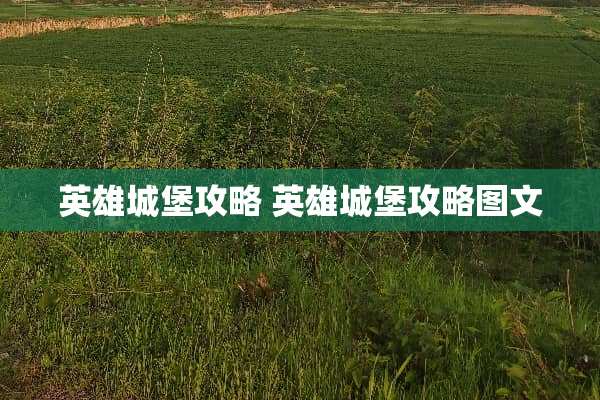 英雄城堡攻略 英雄城堡攻略图文