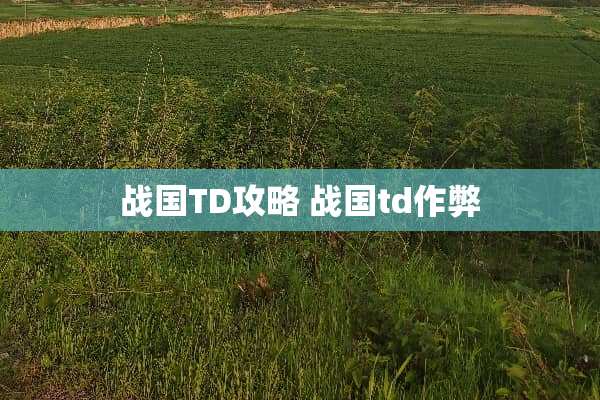 战国TD攻略 战国td作弊