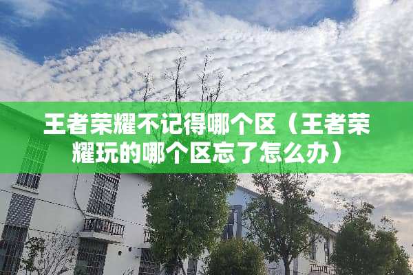 王者荣耀不记得哪个区（王者荣耀玩的哪个区忘了怎么办）