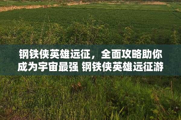 钢铁侠英雄远征，全面攻略助你成为宇宙最强 钢铁侠英雄远征游戏攻略