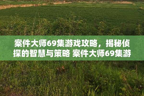 案件大师69集游戏攻略，揭秘侦探的智慧与策略 案件大师69集游戏攻略