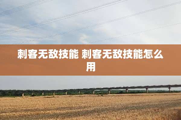 刺客无敌技能 刺客无敌技能怎么用