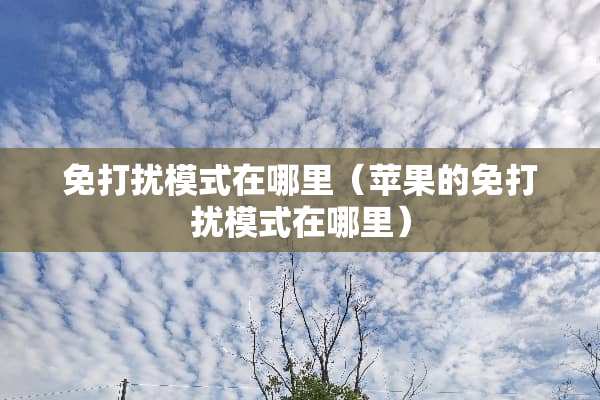 免打扰模式在哪里（苹果的免打扰模式在哪里）