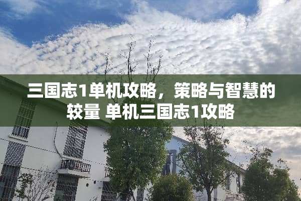 三国志1单机攻略，策略与智慧的较量 单机三国志1攻略