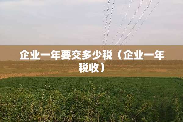 企业一年要交多少税（企业一年税收）
