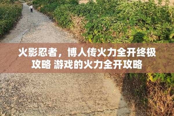 火影忍者，博人传火力全开终极攻略 游戏的火力全开攻略