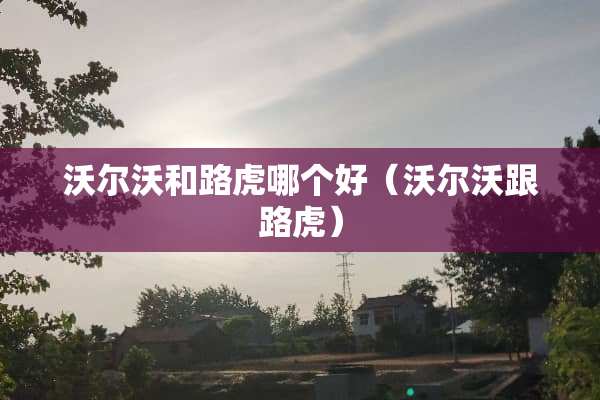 沃尔沃和路虎哪个好（沃尔沃跟路虎）